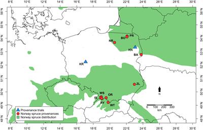 Limitations at the Limit? Diminishing of Genetic Effects in Norway Spruce Provenance Trials